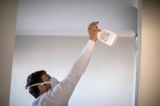 Best Mold Removal and Inspection  in Lisbon, ND