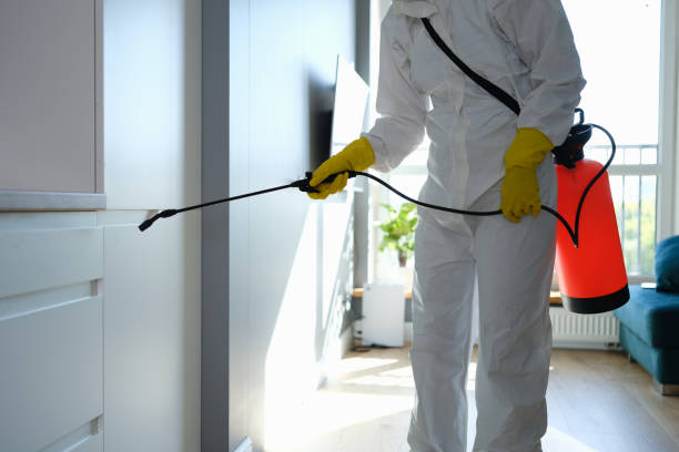 Crawl Space Mold Removal in Lisbon, ND