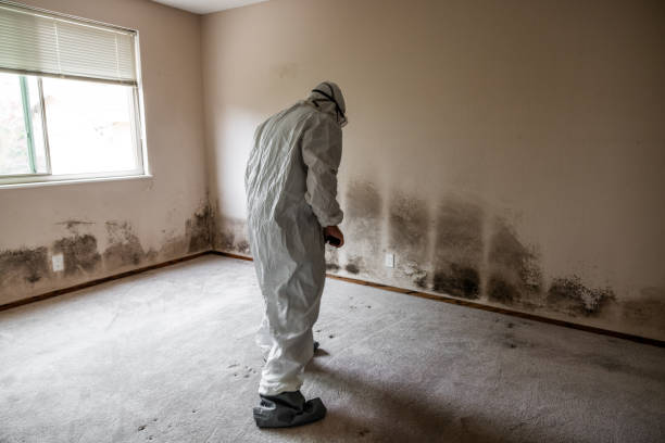 Best Crawl Space Mold Removal  in Lisbon, ND